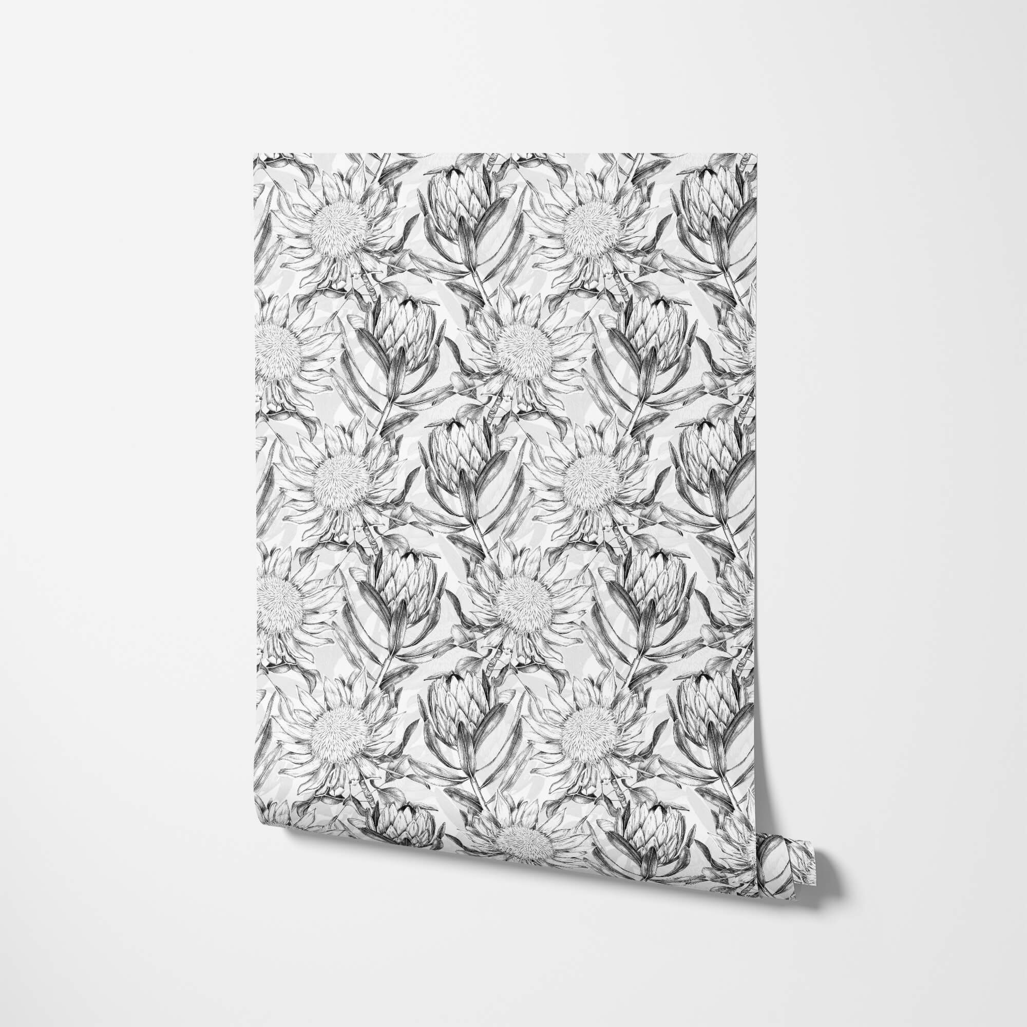 Protea Flowers Floral Wallpaper
