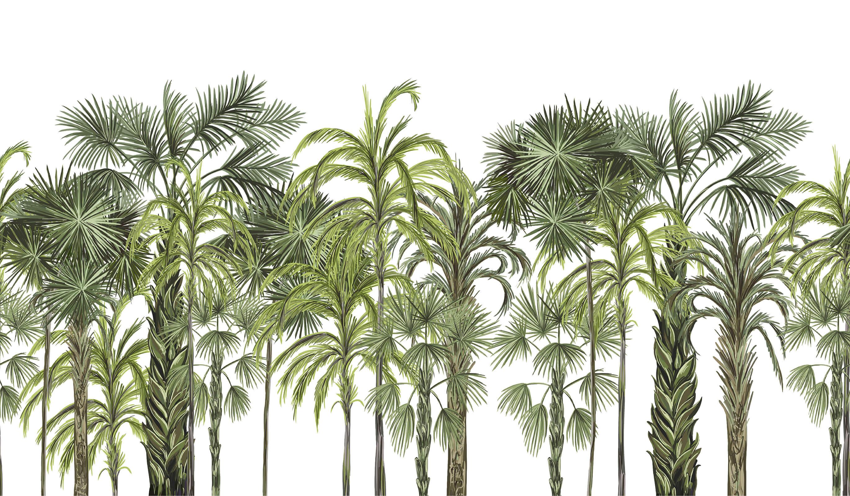 Palm Botanical Large Tree Wallpaper