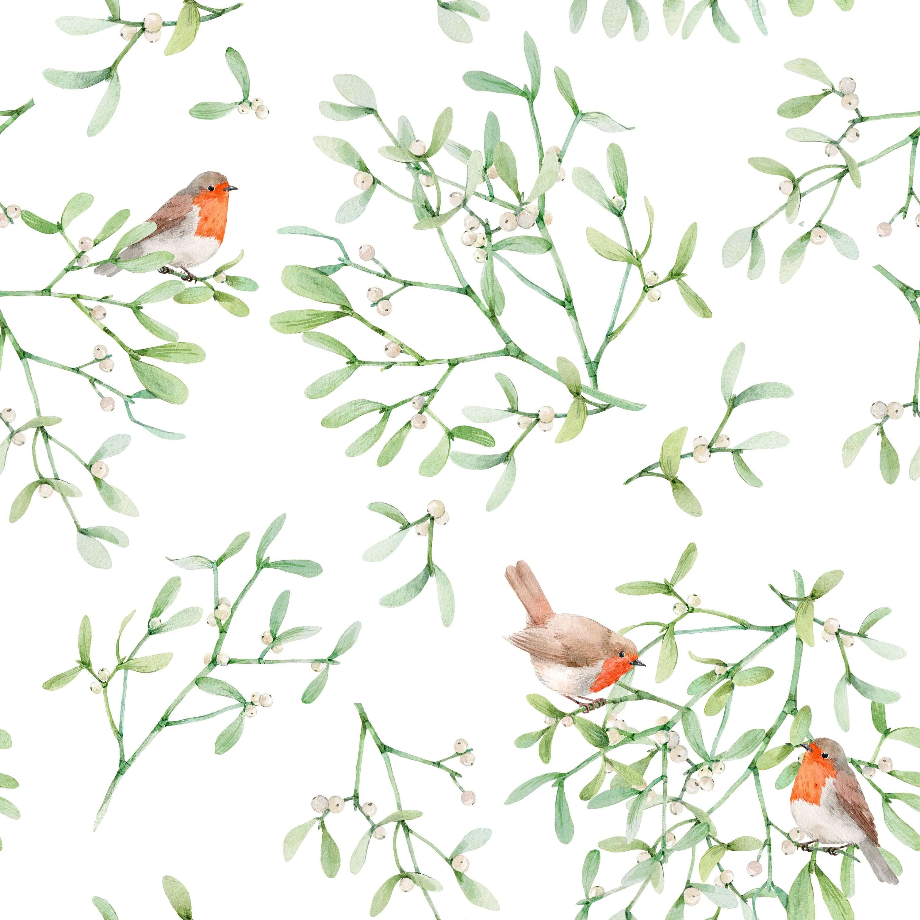 Mistletoe Plant Wallpaper