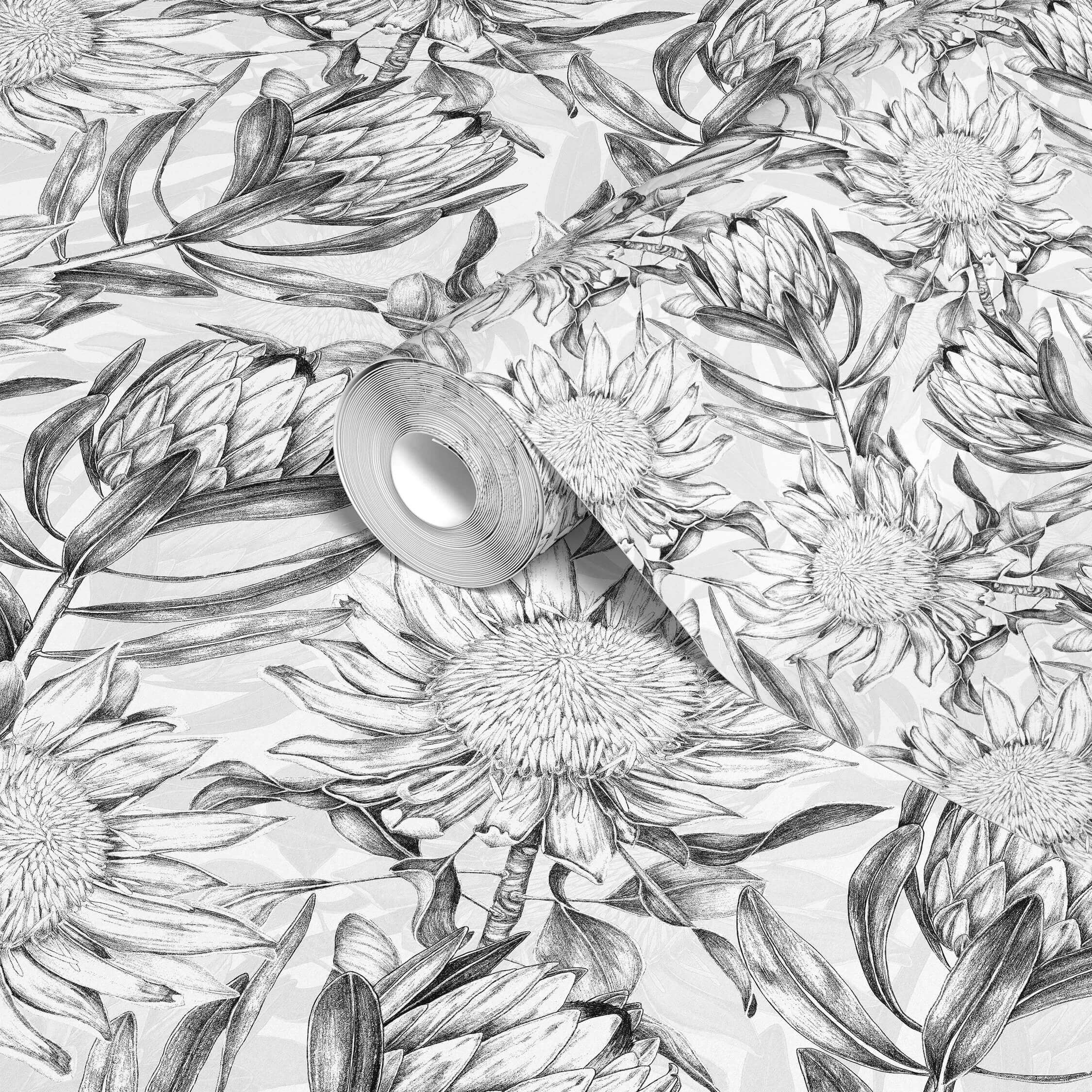 Protea Flowers Floral Wallpaper