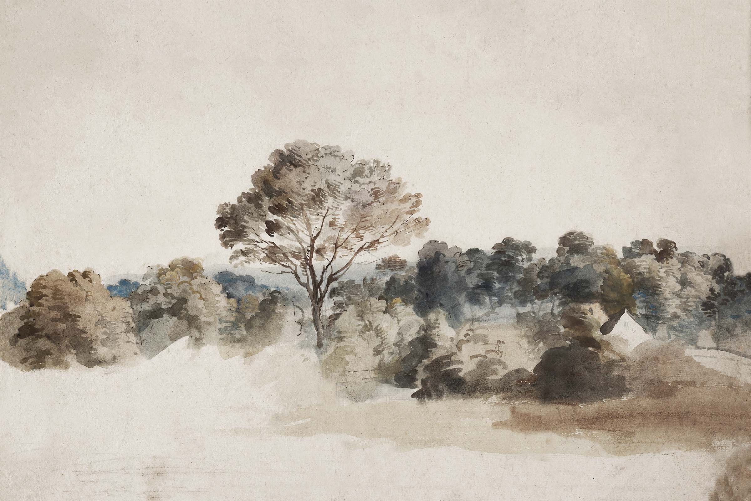 Antique Rustic Landscape Wallpaper