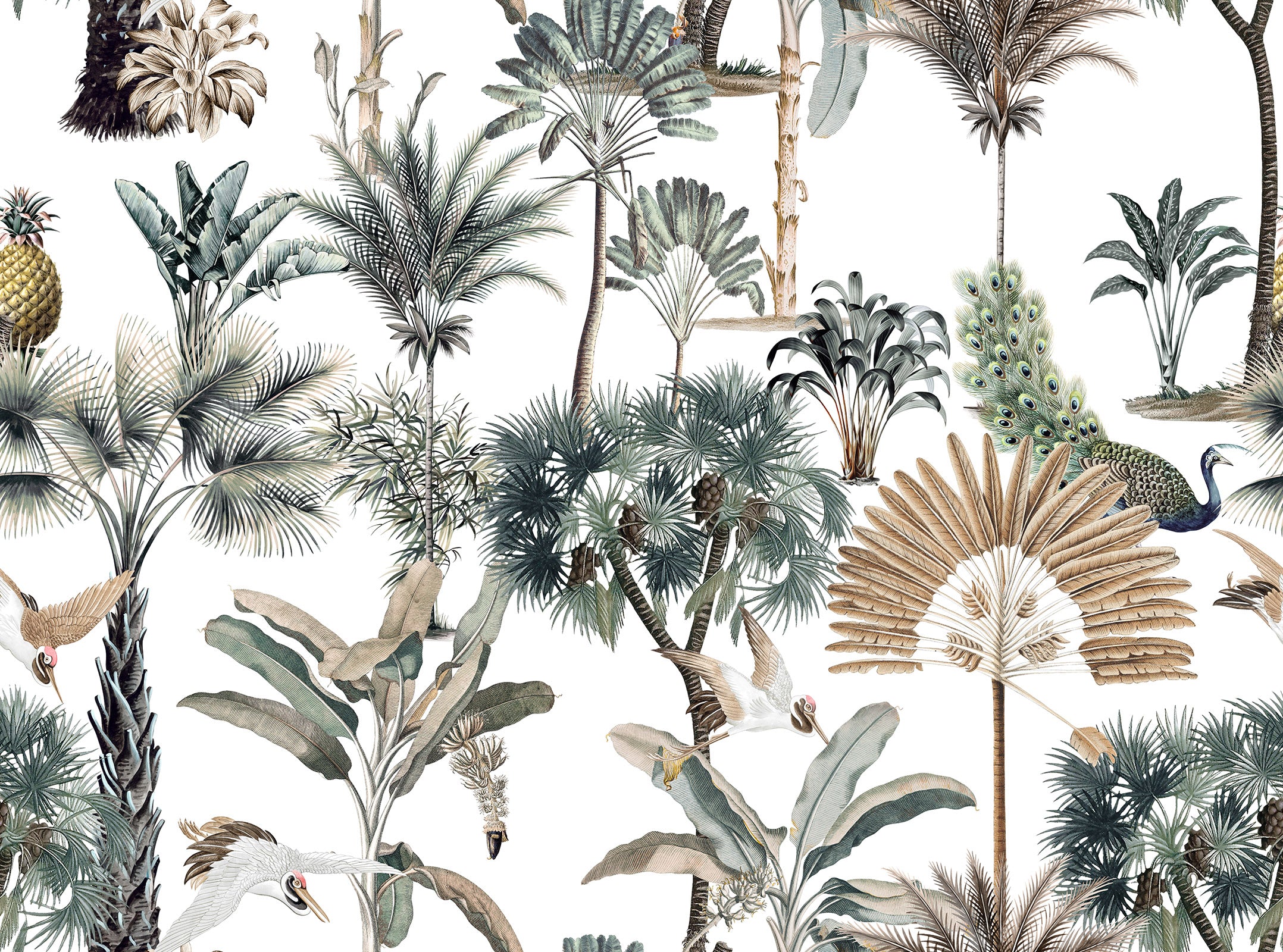 Luxury Exotic Tropical Wallpaper for Wall