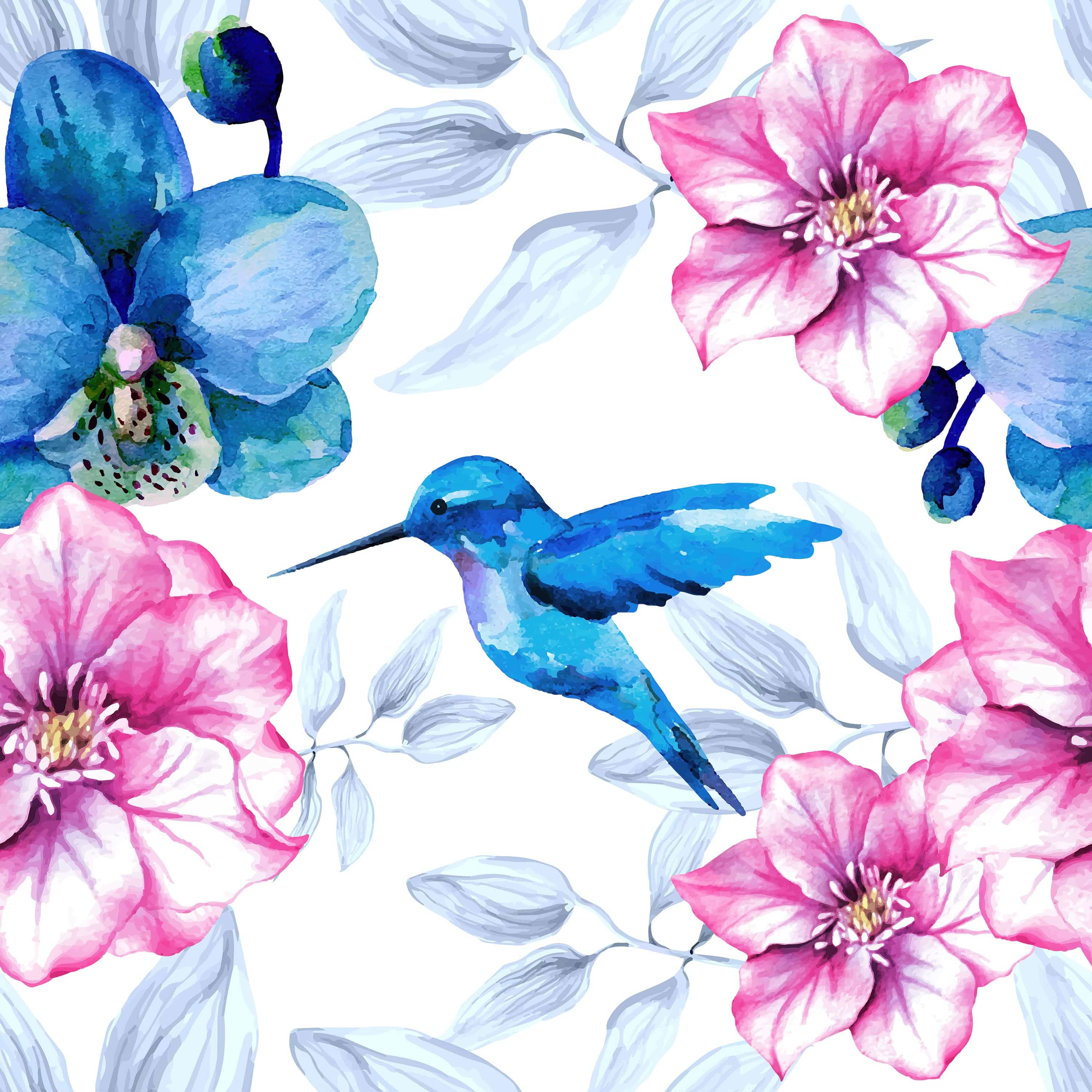 Hummingbirds - Walltrendz