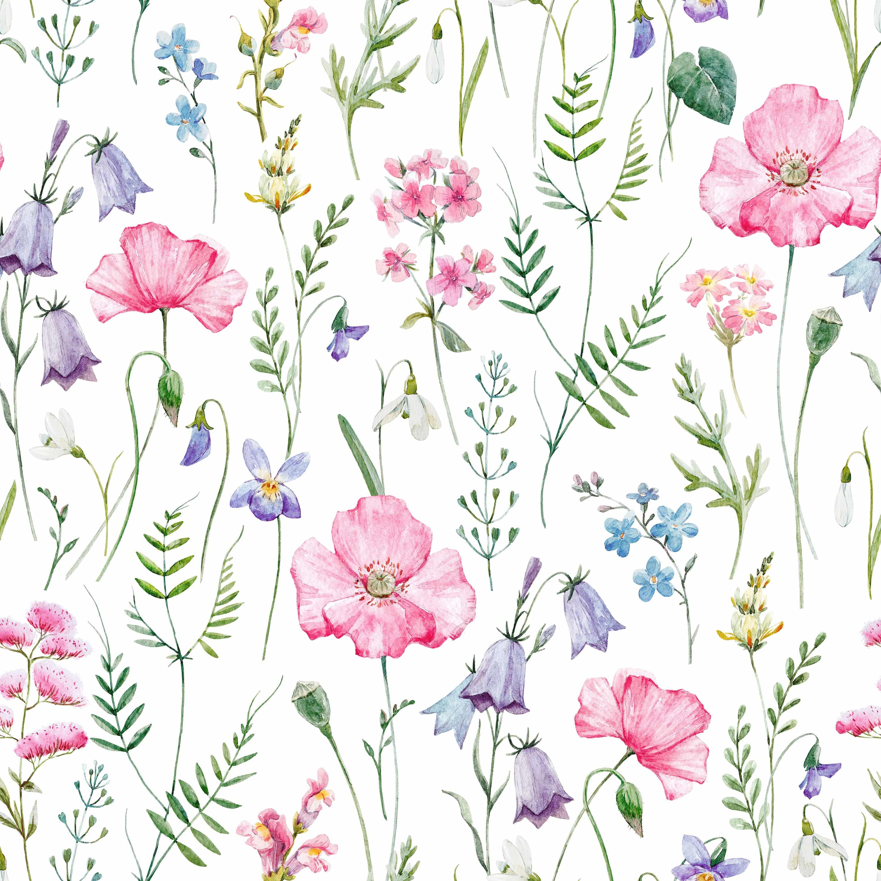 Delicate wildflowers - Walltrendz