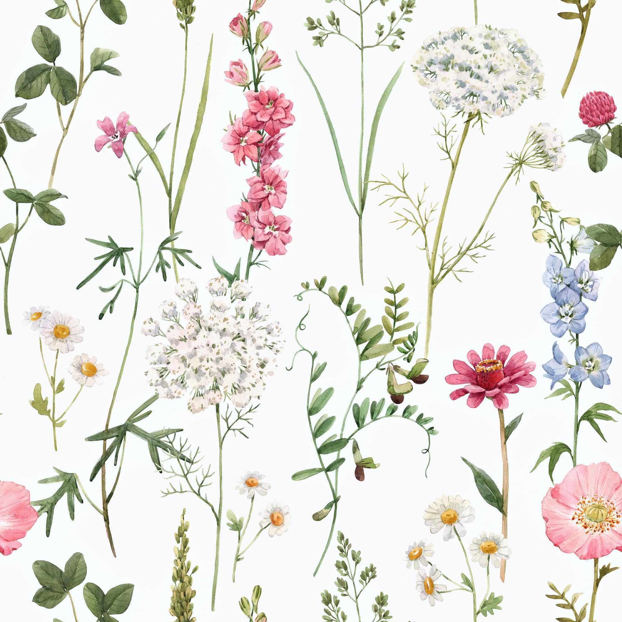 Wildflowers - Walltrendz