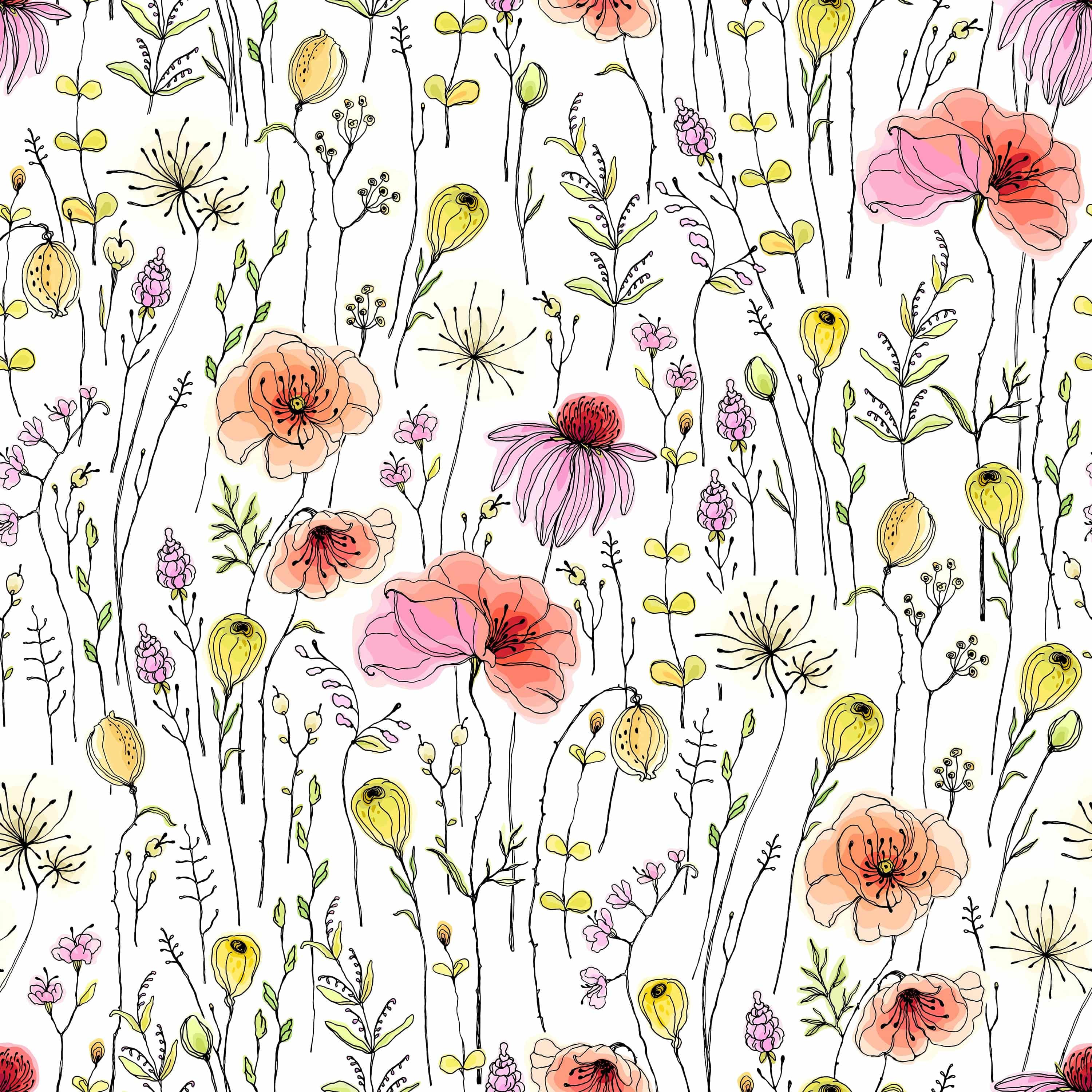 Wildflowers Poppies - Walltrendz