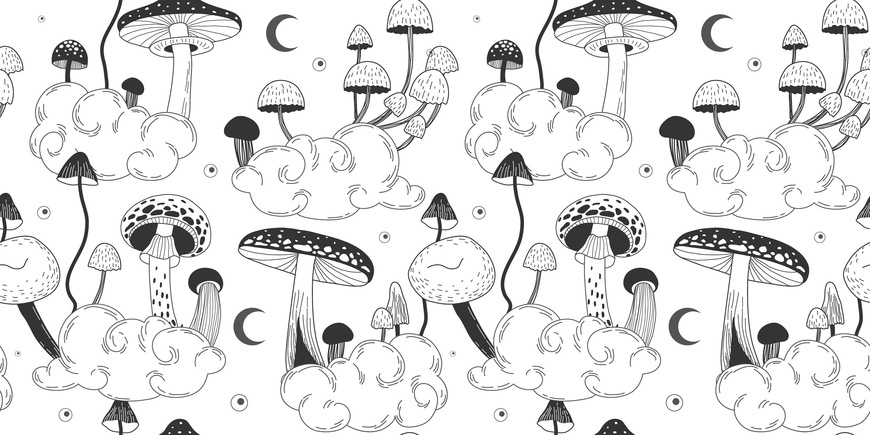 Boho Art Mushroom Wallpaper