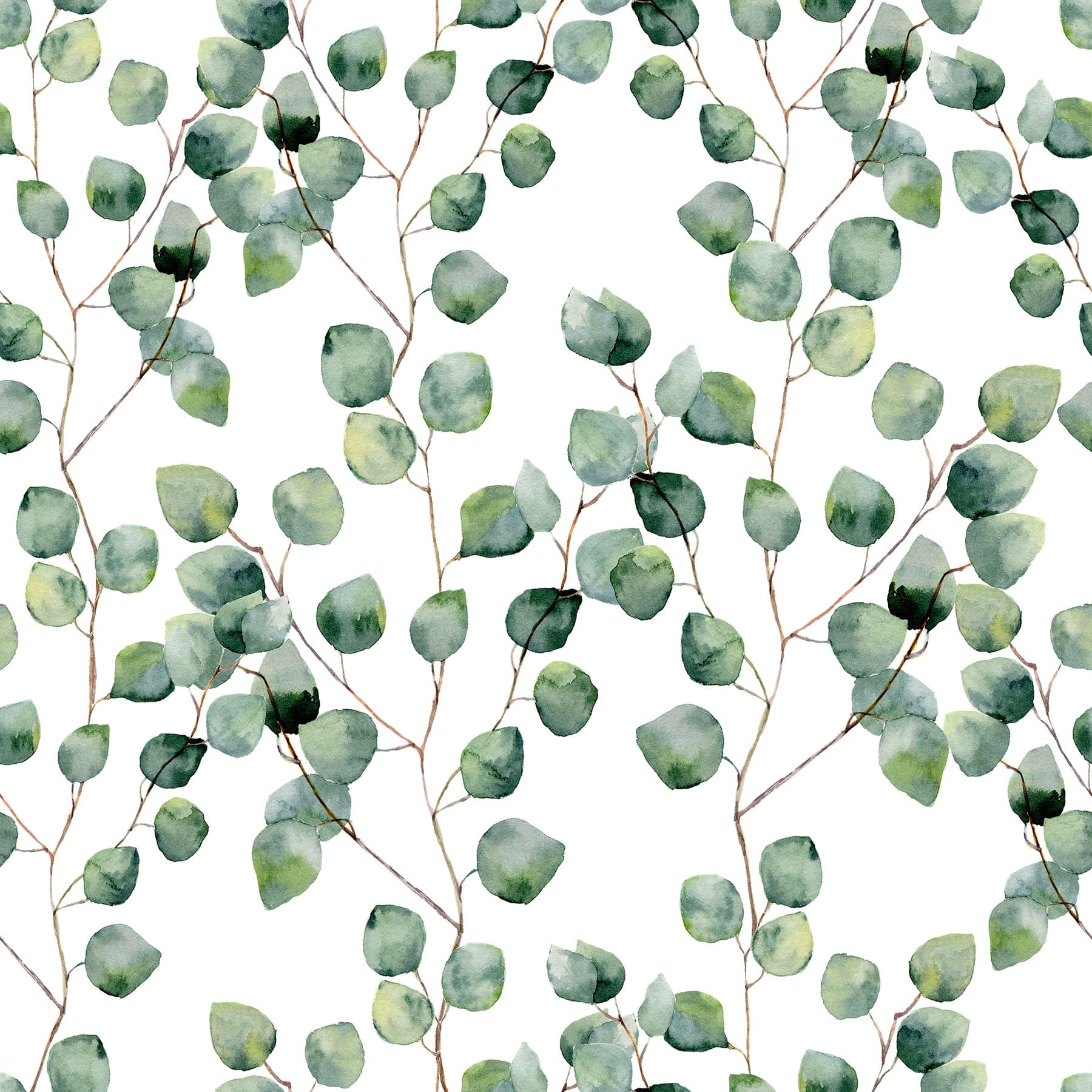 Watercolor Eucalyptus - Walltrendz