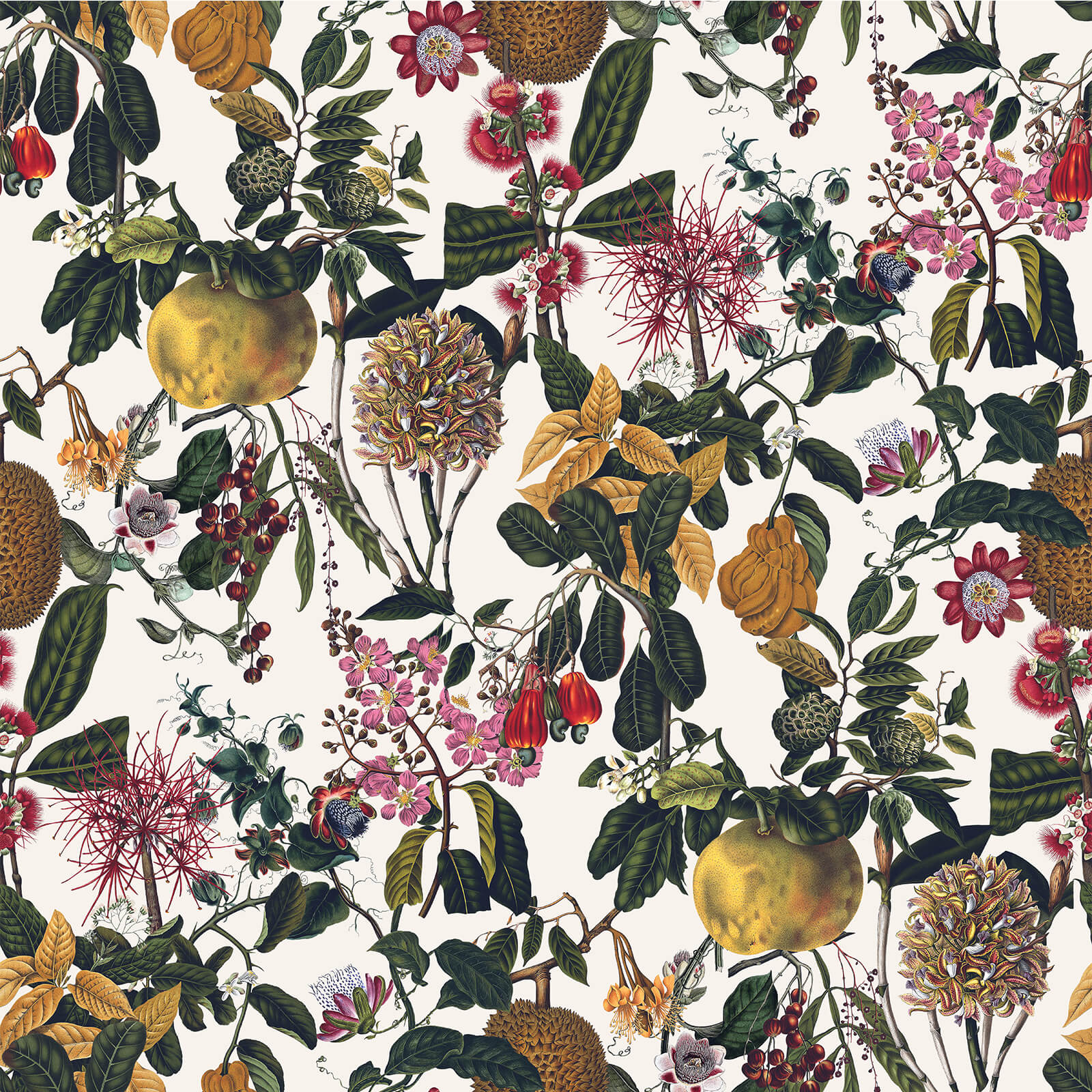 Fruit Tropical Wallpaper