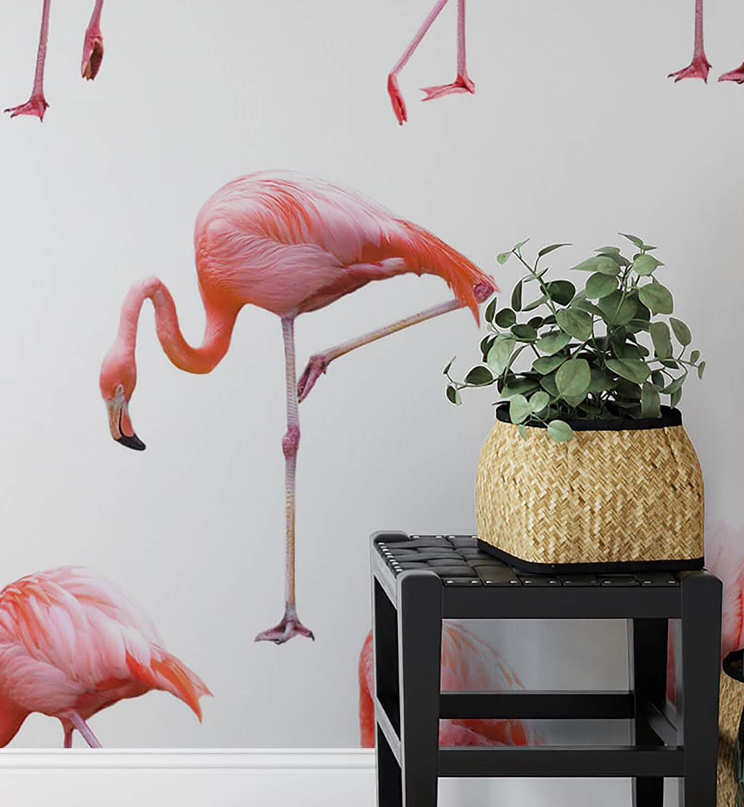 Flamingo Wallpaper