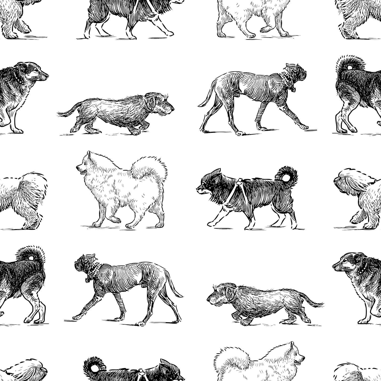 Sketches Dogs Wallpaper