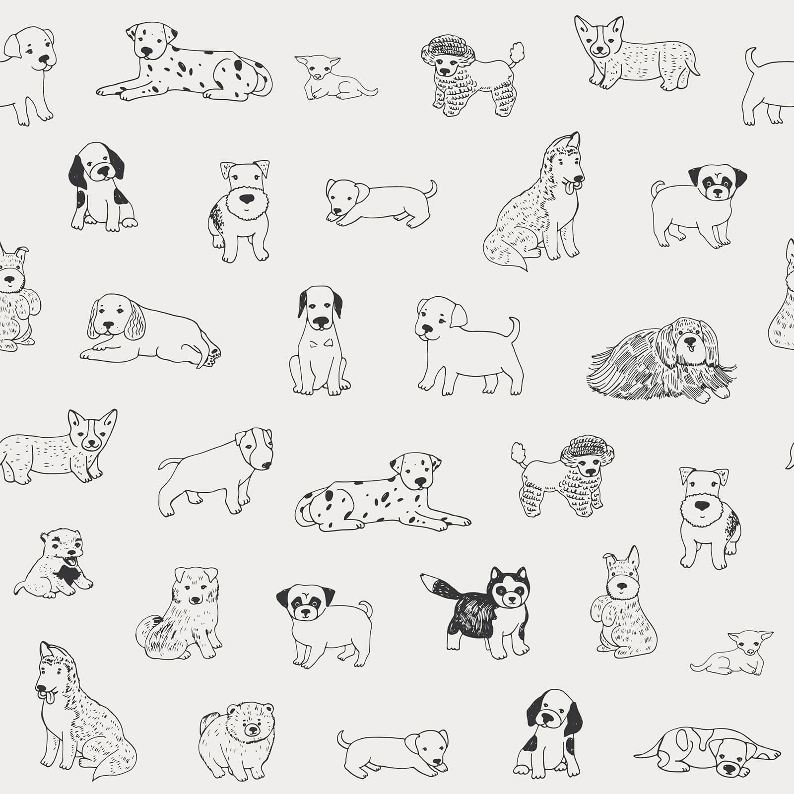 Line Art Dog Puppy Wallpaper