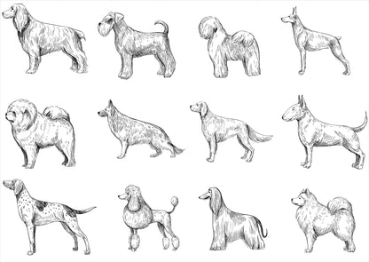 Dog Breed Sketch Wallpaper