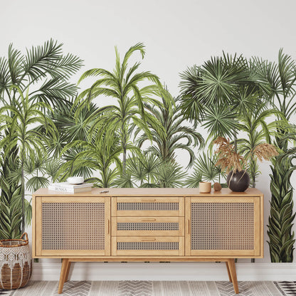 Palm Botanical Large Tree Wallpaper