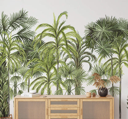 Palm Botanical Large Tree Wallpaper