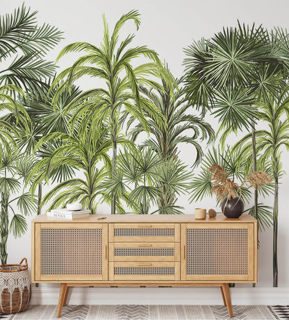 Palm Botanical Large Tree Wallpaper