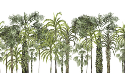 Palm Botanical Large Tree Wallpaper