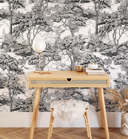 Black White Nature Landscape Wallpaper