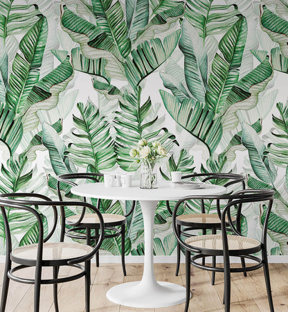 Beautiful Banana Leaves Wallpaper