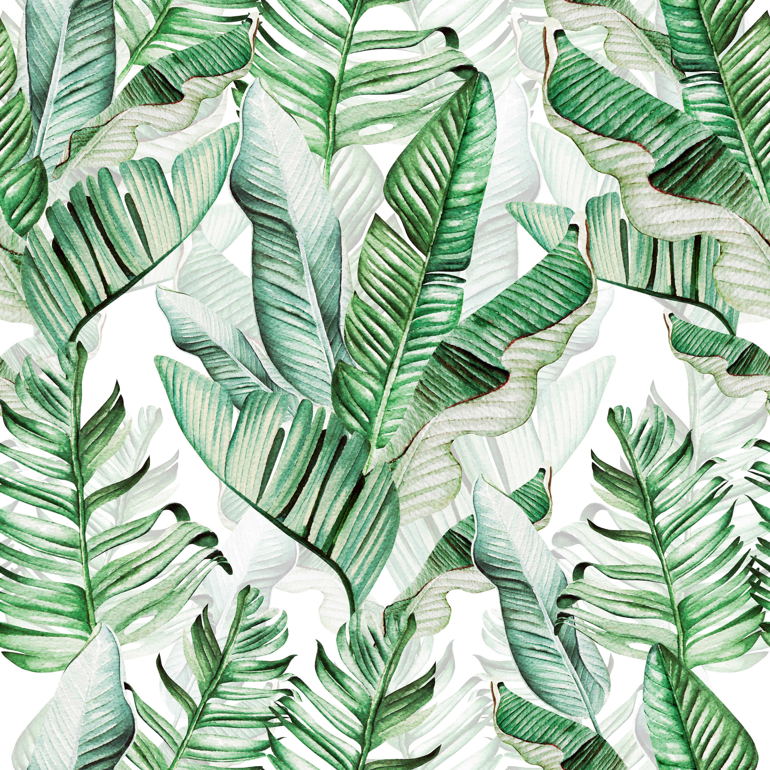 Beautiful Banana Leaves Wallpaper