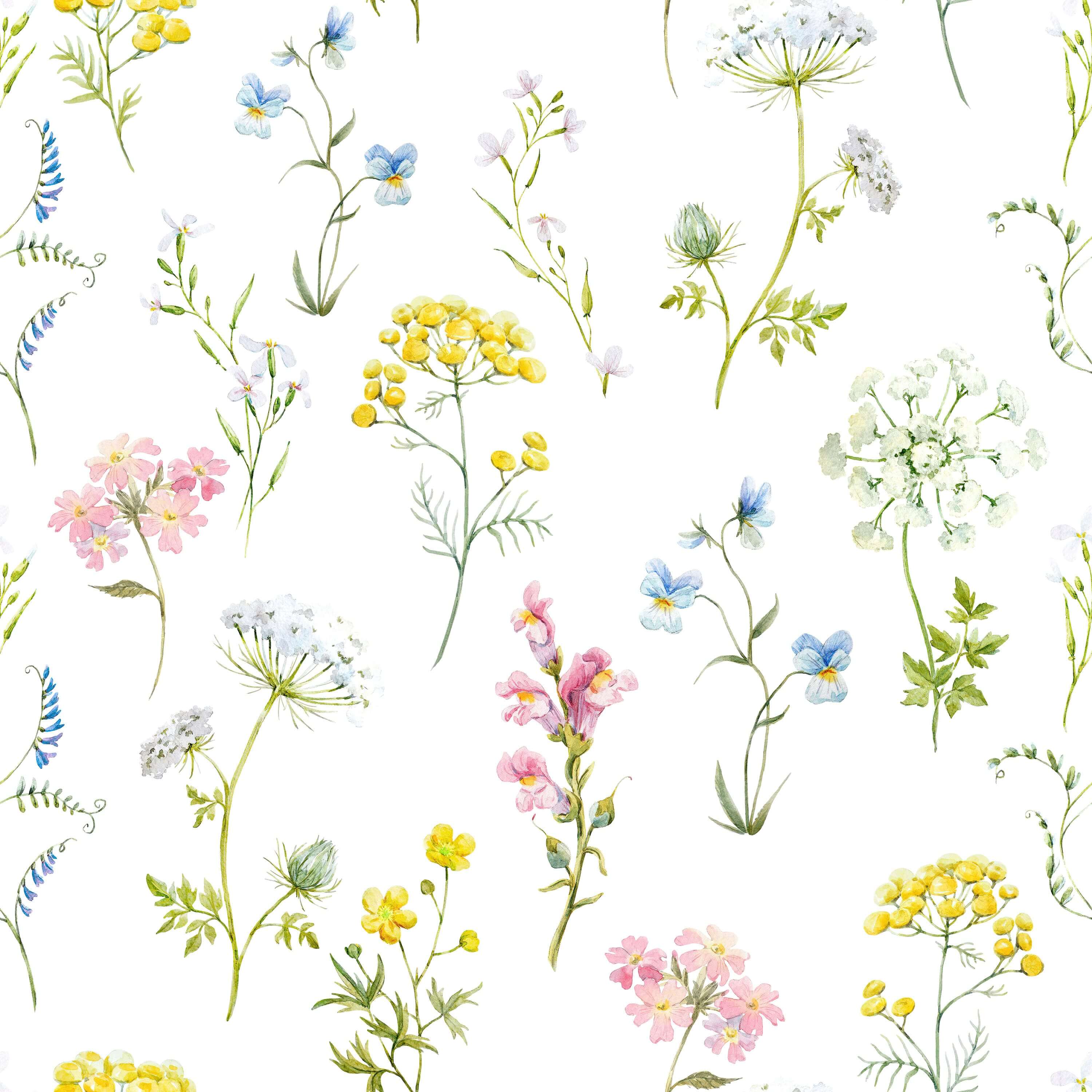 Delicate Wildflowers Wallpaper