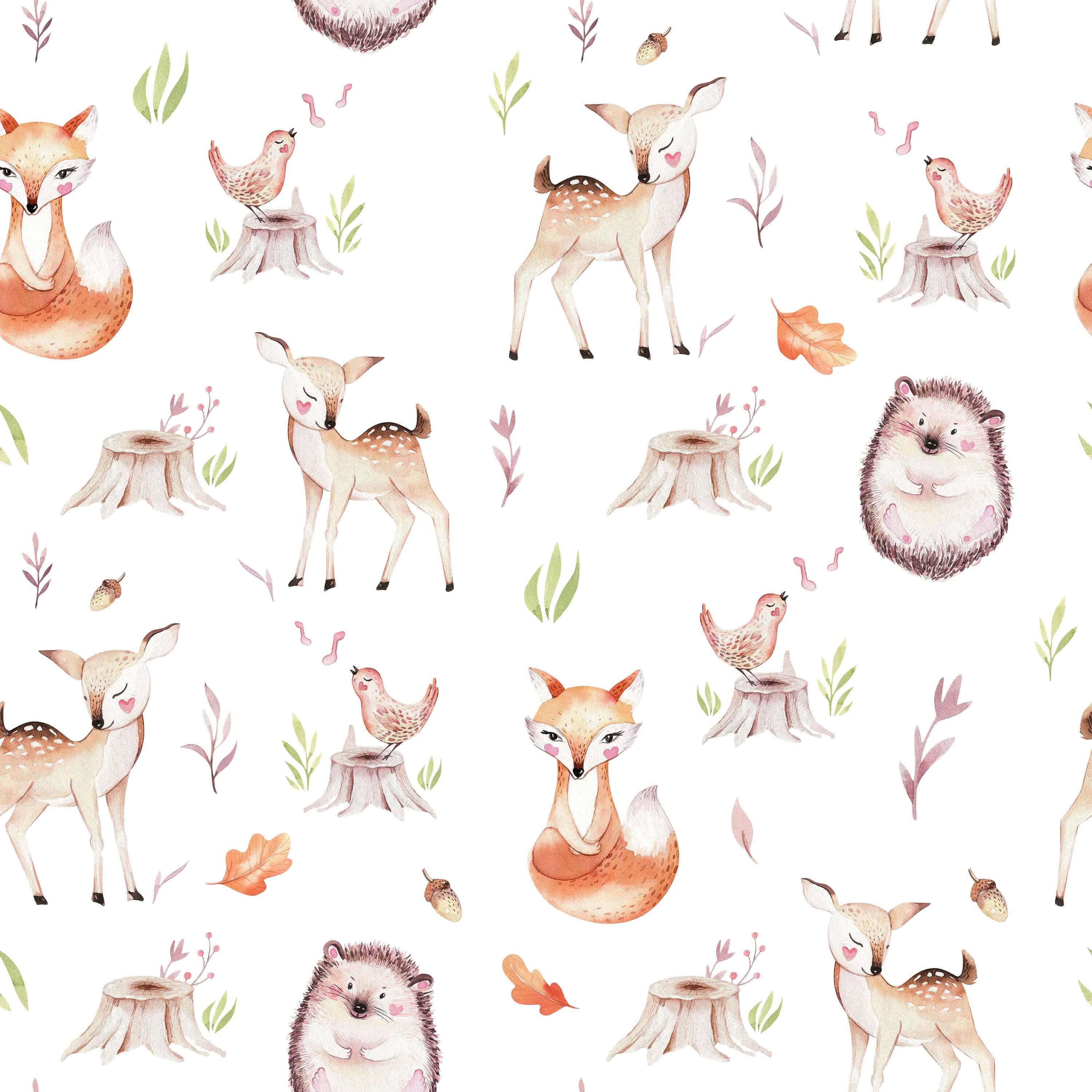 Cute Baby Deer Wallpaper