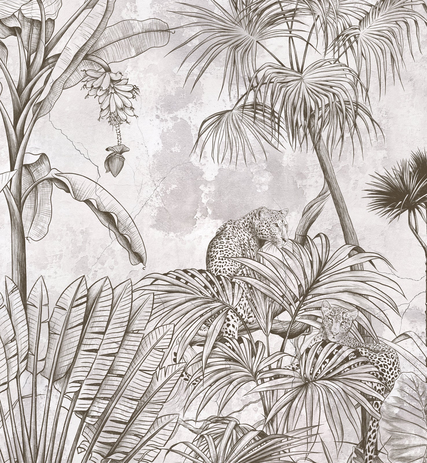 Tropical Forest Mural Wallpaper