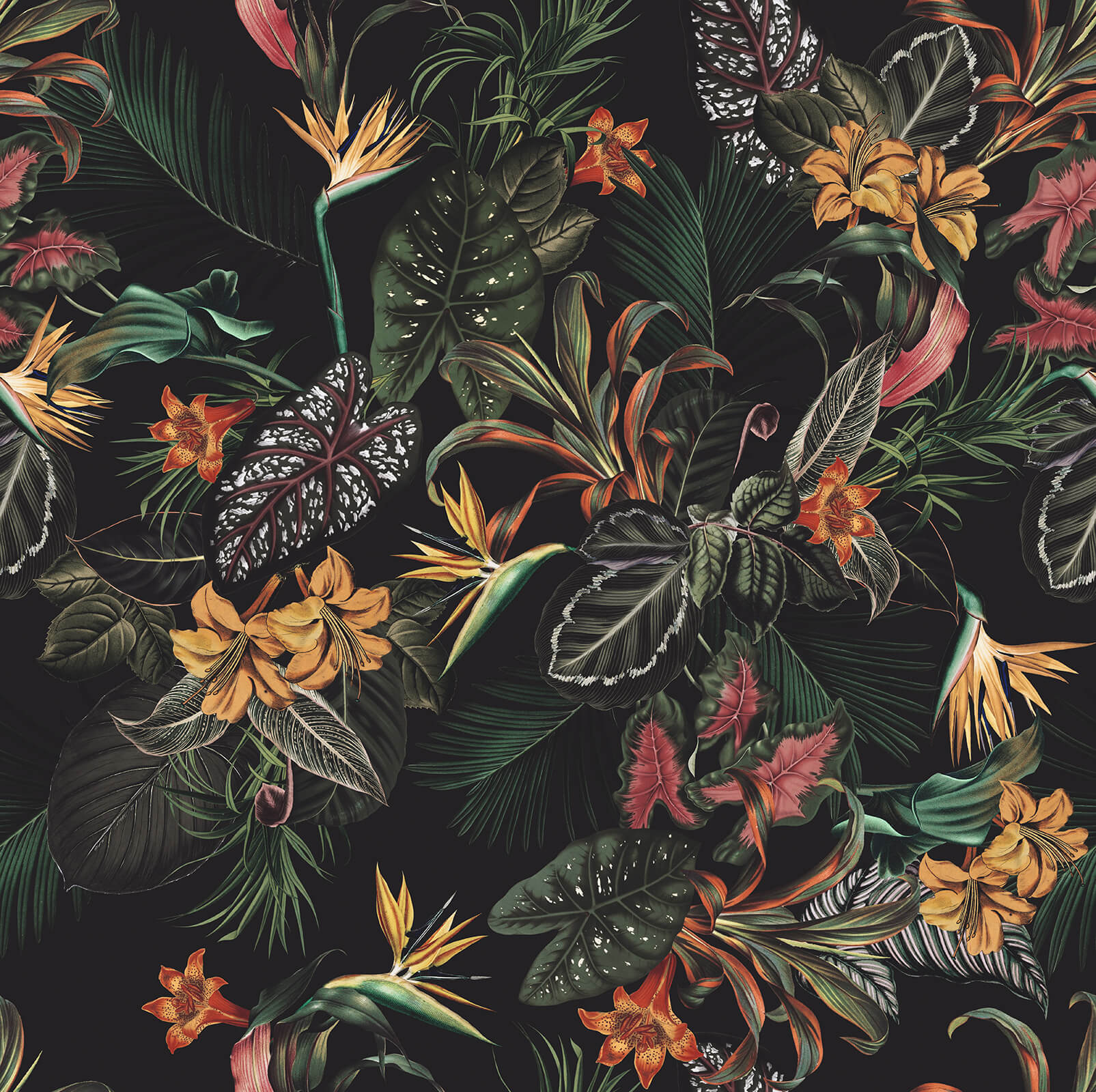 Tropical Midnight Jungle Wallpaper