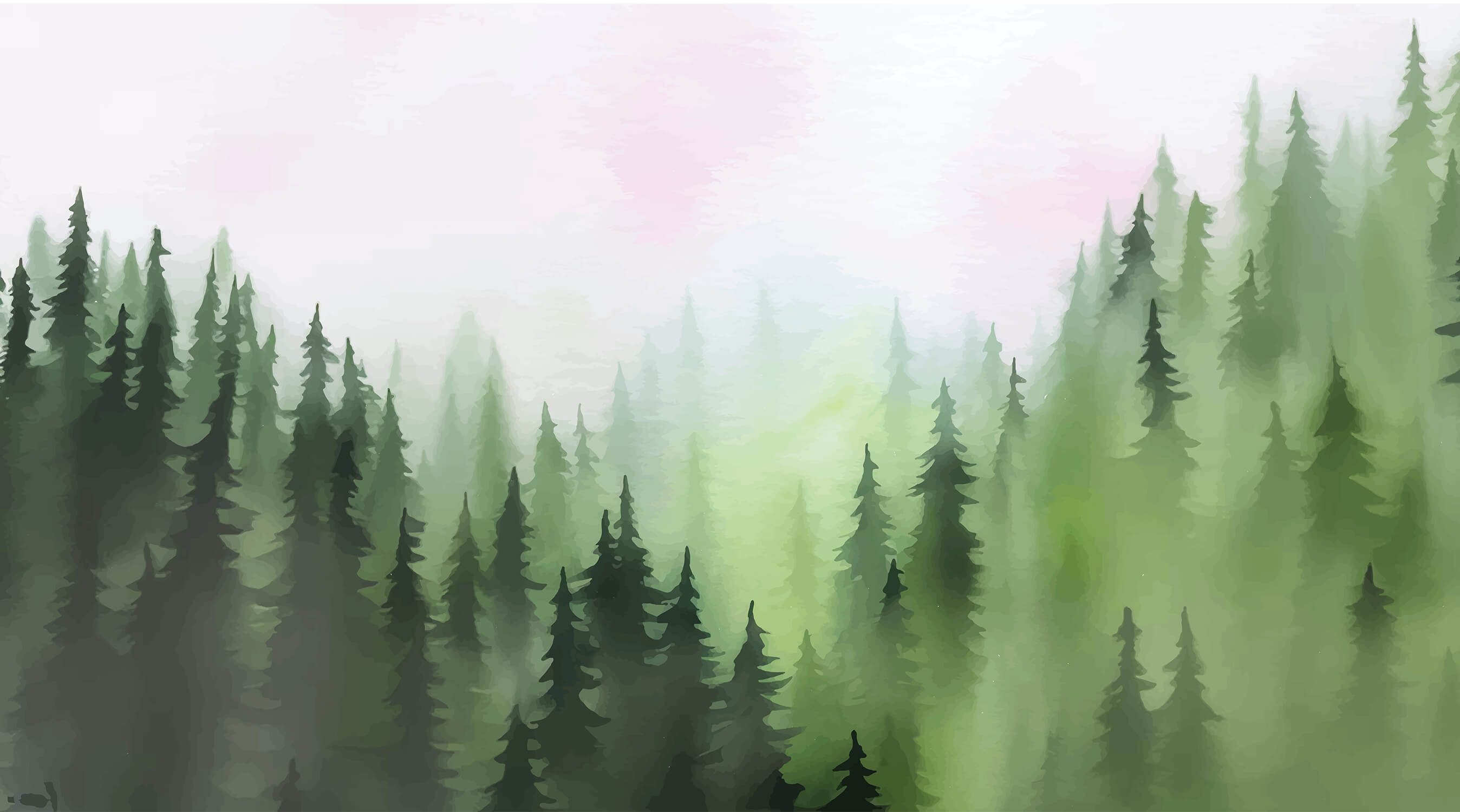 Green Foggy Forest Wallpaper