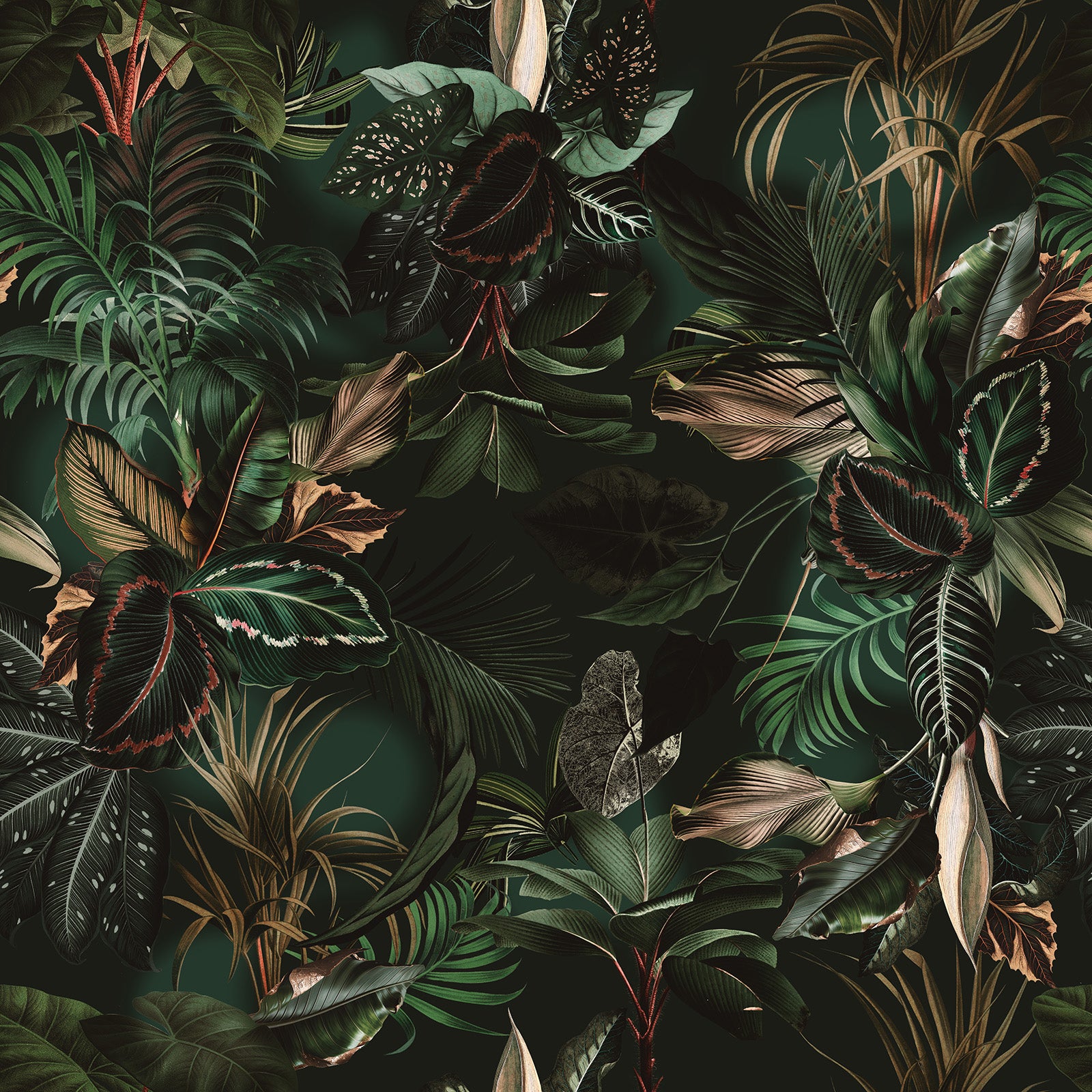 Moody Tropical Palm & Exotic Leaves Wallpaper