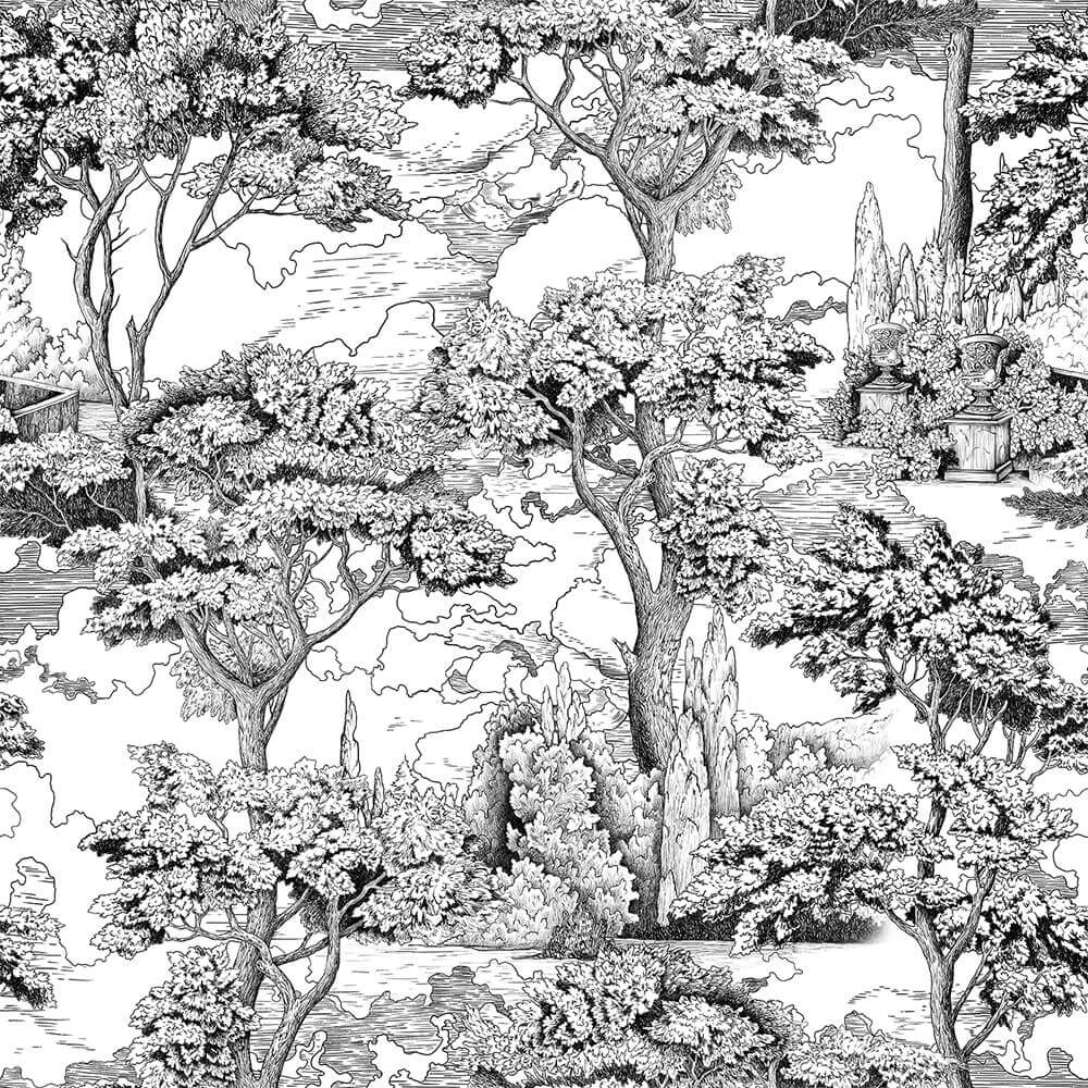 Black White Nature Landscape Wallpaper