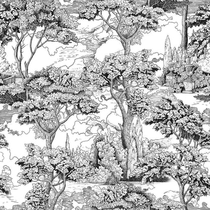 Black White Nature Landscape Wallpaper