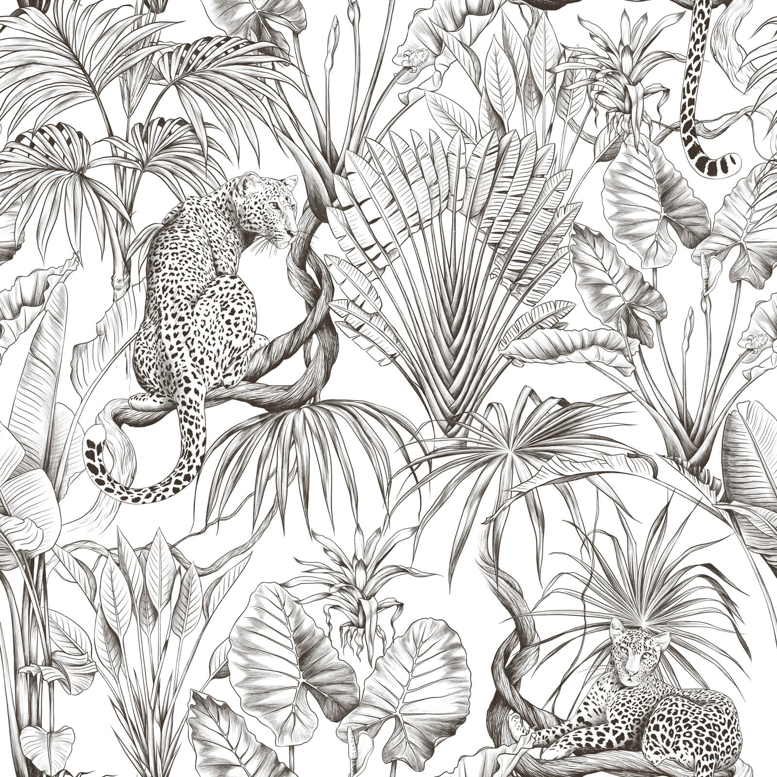 Jungle Wild Leopard Wallpaper