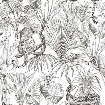 Jungle Wild Leopard Wallpaper